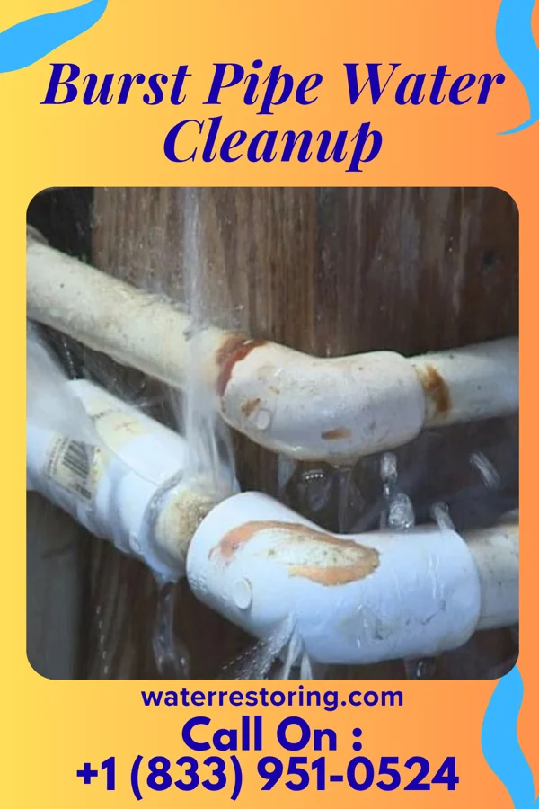 Burst Pipe Water Cleanup in Searingtown, NY