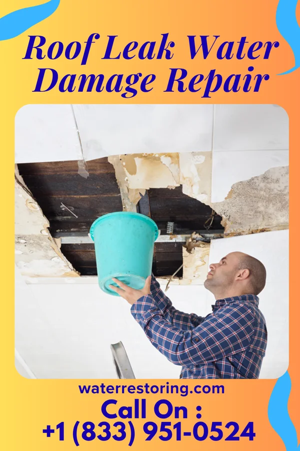 Roof Leak Water Damage Repair in Searingtown, NY