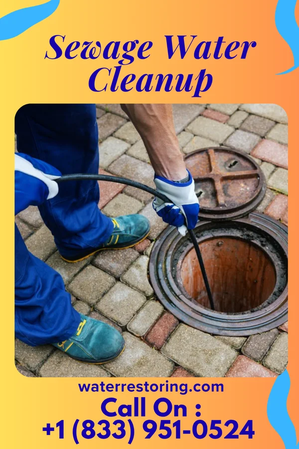 Sewage Water Cleanup in Searingtown, NY