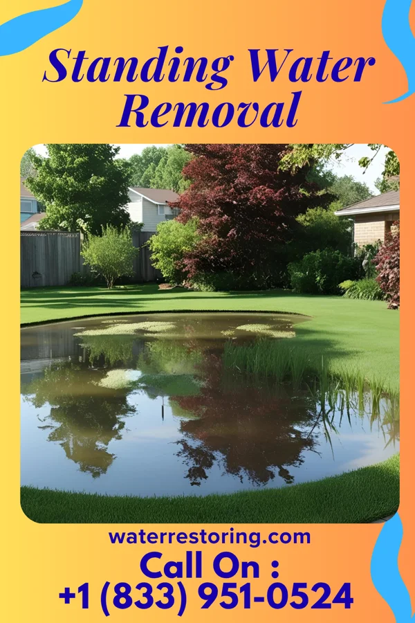 Standing Water Removal in Searingtown, NY